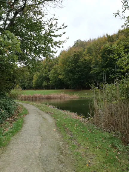 Gaasbeek + Kasteel van Gaasbeek (Lennik, België)